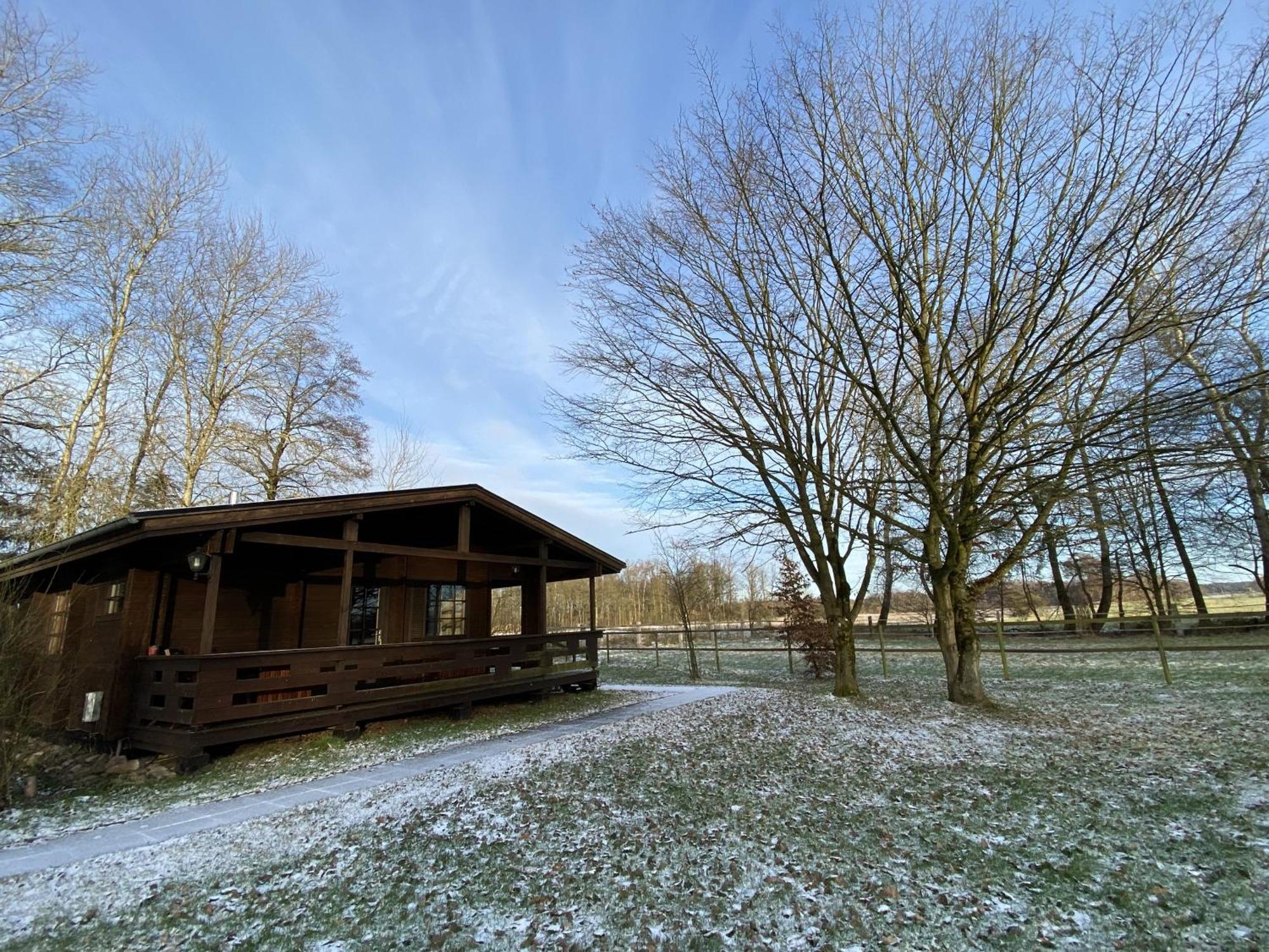 Heidegut Eschede Reitsportanlage Und Feriendorf Habitación foto