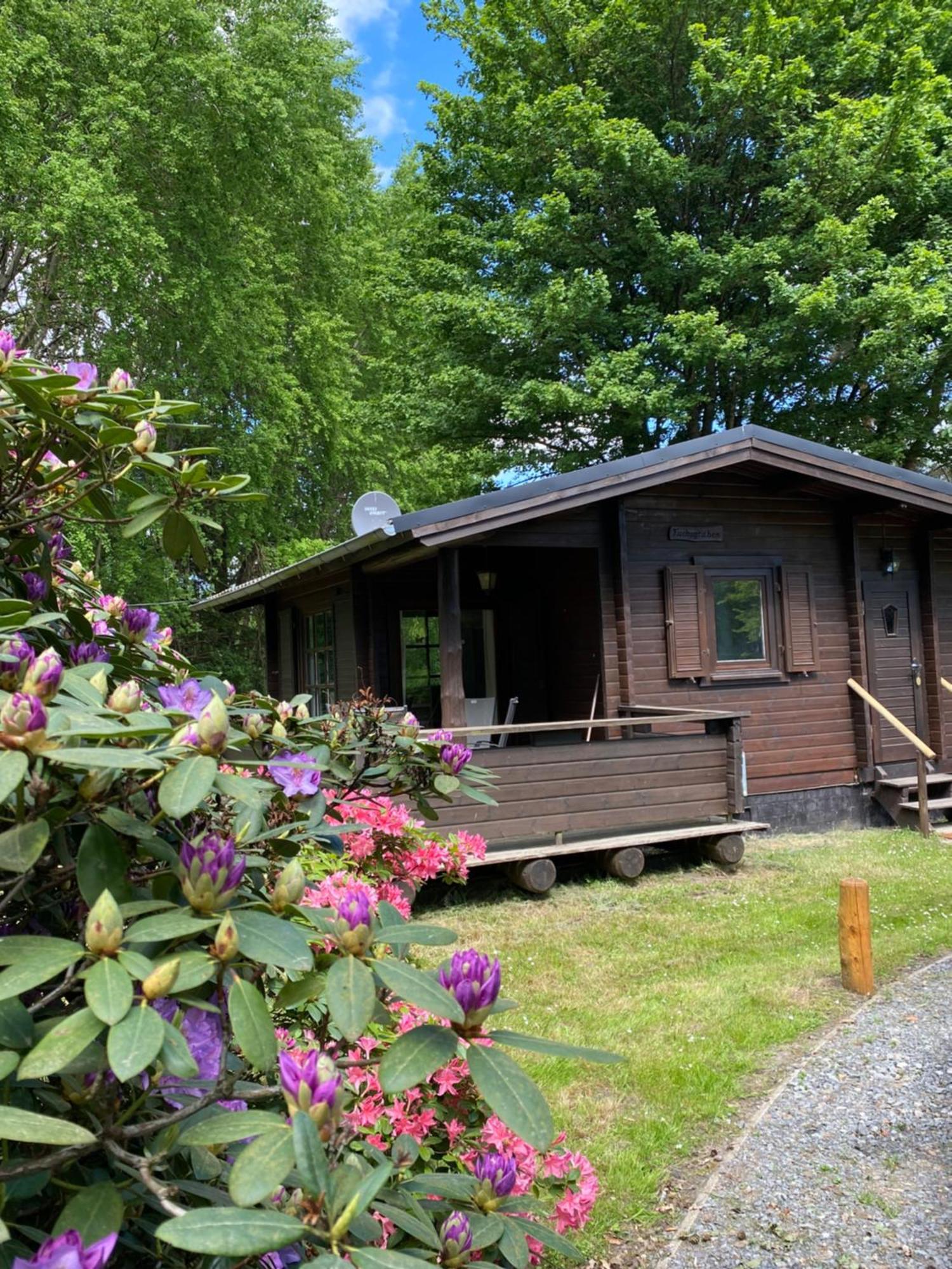 Heidegut Eschede Reitsportanlage Und Feriendorf Exterior foto